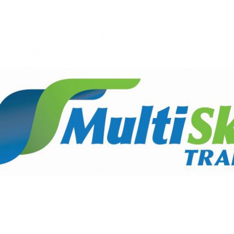 MultiSkills Training